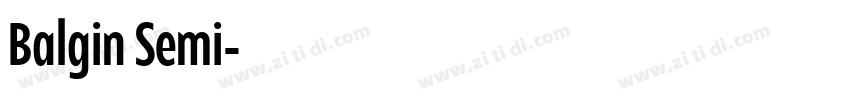 Balgin Semi字体转换